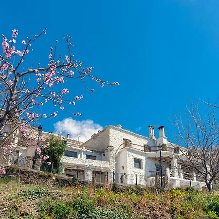 El Rincon Apartment Capileira